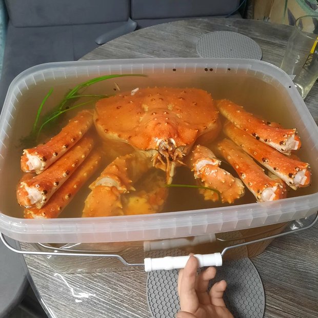 Камчатский краб целиком в бульоне
