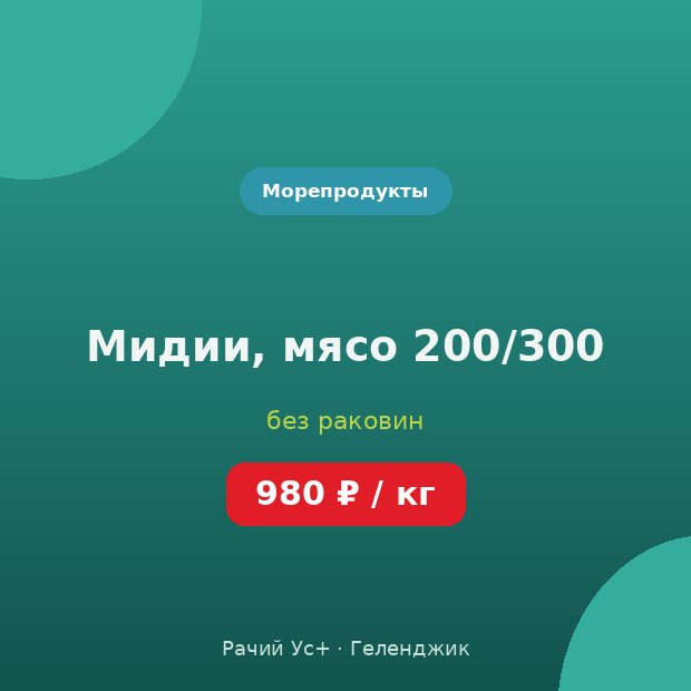 Мидии, мясо 200/300 — доставка по Геленджику