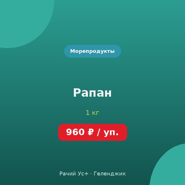 Рапан — доставка по Геленджику
